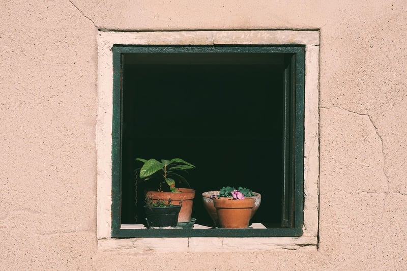 Window Sill Eden